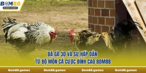 Live Đá Gà 3D