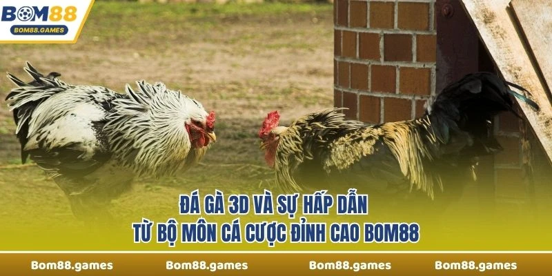 Live Đá Gà 3D