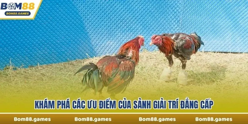 Khám phá các ưu điểm của sảnh giải trí đẳng cấp